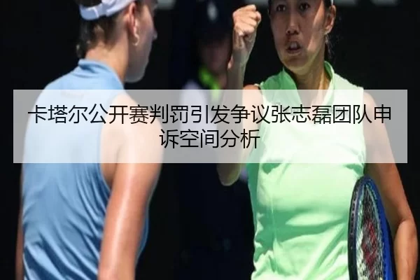 卡塔尔公开赛判罚引发争议张志磊团队申诉空间分析